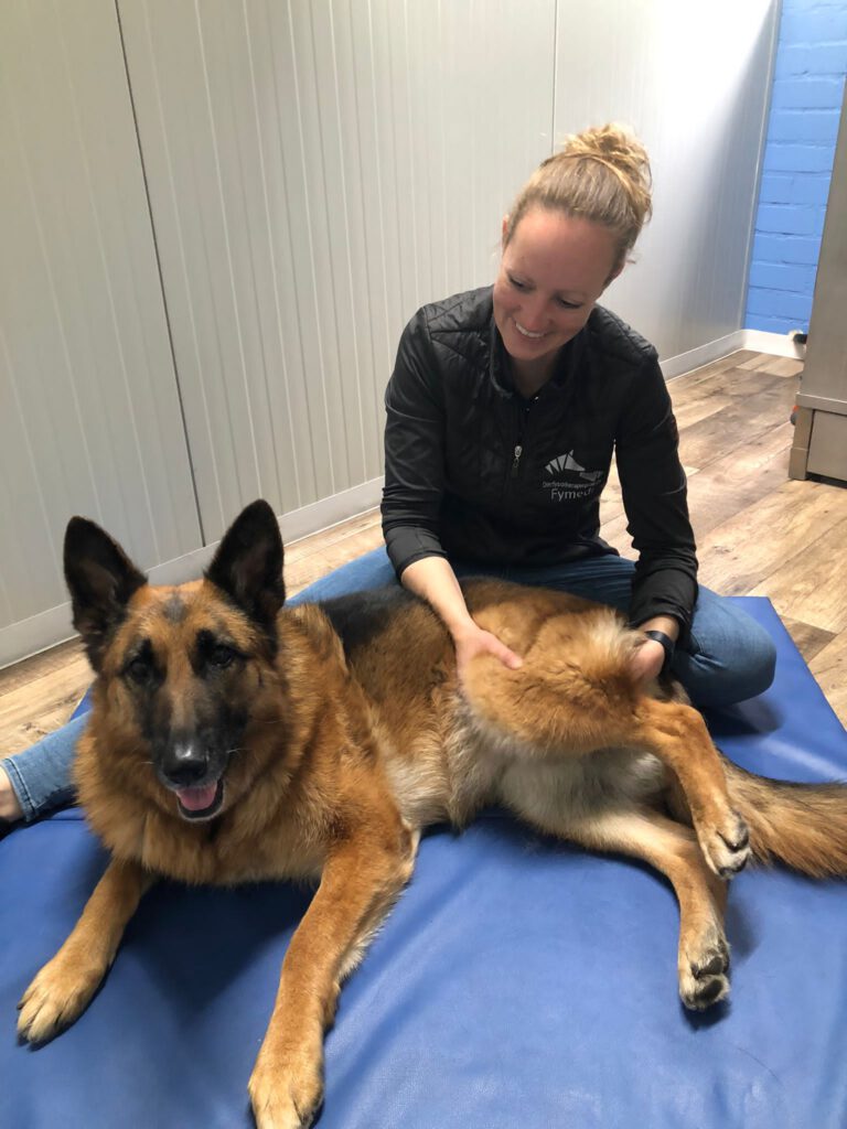 Fysiotherapie hond