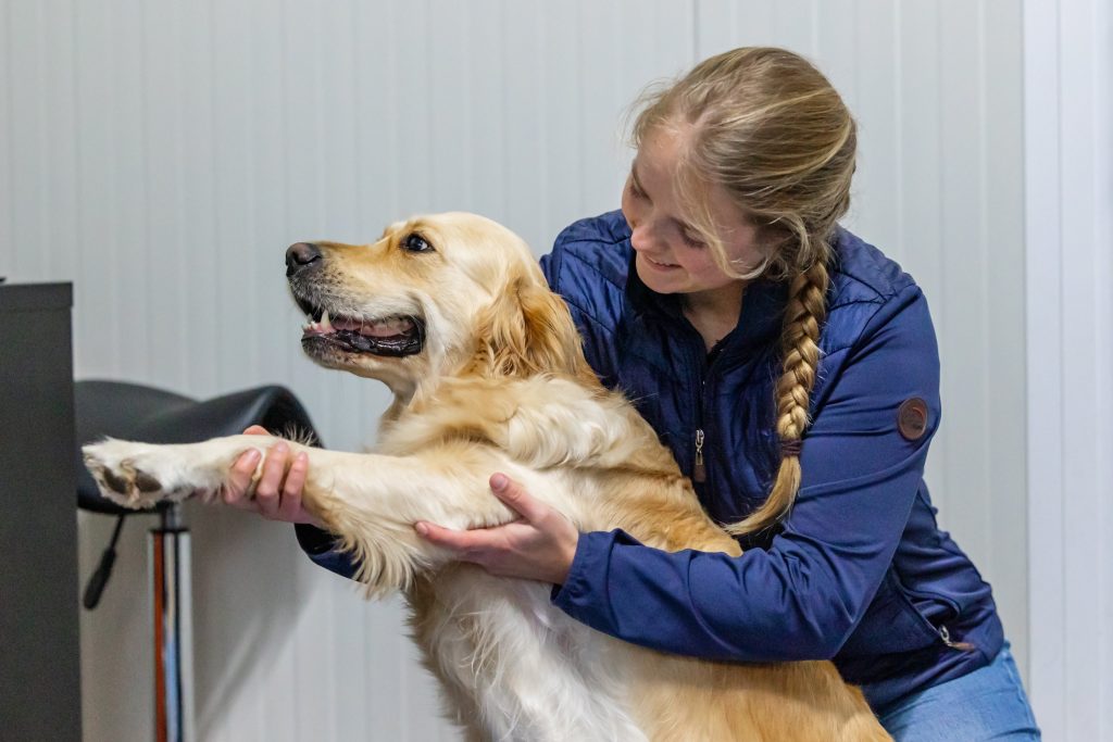 Dierenfysiotherapeut Esther Maagdenberg
